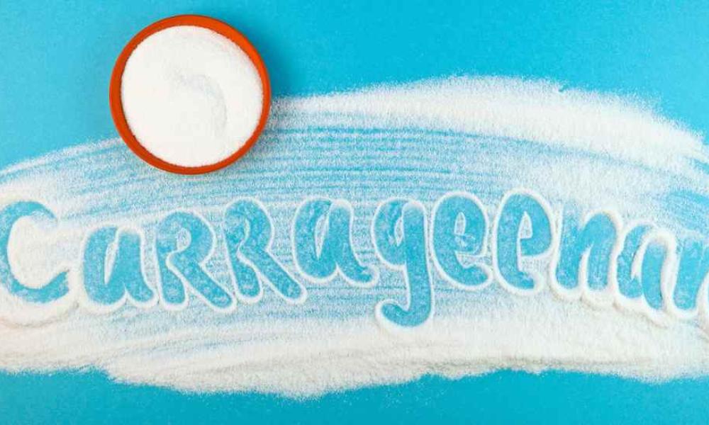 What is carrageenan? What is carrageenan?